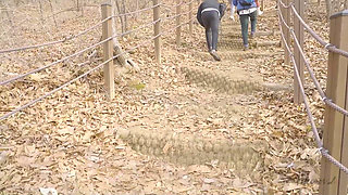 Fake Couples: No Sex Allowed