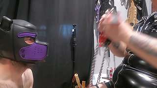 Pet Play Praise and pet Collar Training