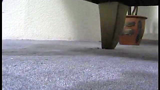 Busty brunette chick gets banged at the casting