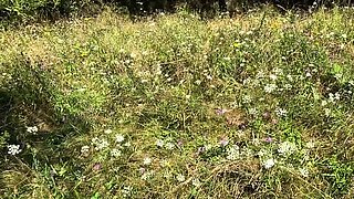 Redstone Tutorial? Amateur Babe with Big Tits Masturbates in