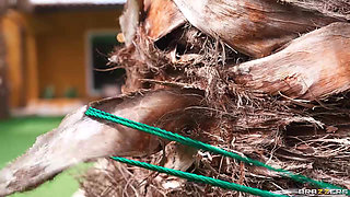 Wet And Sneaky Sapphire Astrea Brazzers