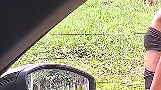 Flash Cock to a Girl in the Car!