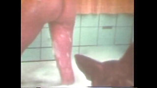 Stepmommy, Suck Me Delicious