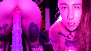 Tight sweet clit and ass solo toy fun
