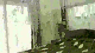 043-reonlionf-koojuu-gh