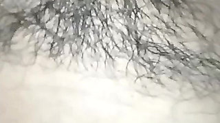 Album Collection 2025