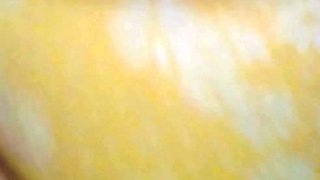 Amateur Couple Hardcore Webcam Action Porn 00 xHamste more