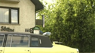 Attractive German sluts getting fucked in hot foursome