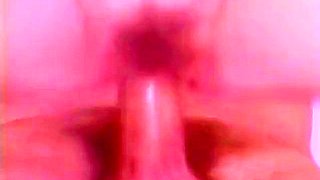 Primary Pleasures 1987