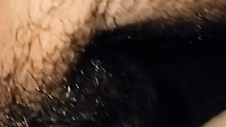 Husband and wife sex video Bangla local