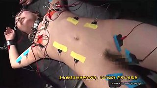 loteoto CMV-104-5 ksiatea
