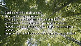 Sara Otani Kunoichi vs Black Big Cock Interracial Creampie!