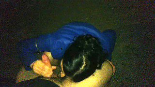 Mature slut gives outdoor blowjob with cum in mouth