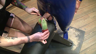 Domina with 2 Male Sex Slaves Cactus and Spikey Toys