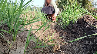 In the open open jungle wheat field, the outdoor sister-in-law is peeing and fingering her longing pussy, the mast pussy is in the sister-in-law's pussy.