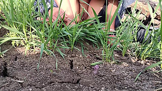 Big sister-in-law in the field, fingers in her pussy, the jungle field open, the open field, everyone's open open.