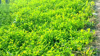 Khet kheton mein gand Marne Laga upar se Koi aaega FIR chhod Diya