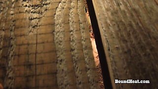 Bound Heat featuring queen bee's lesdom smut