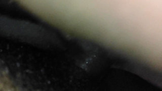 My Pussy Desi Mallu Aunty BDSM Stepmom Viral Mms Videos Village Tamil