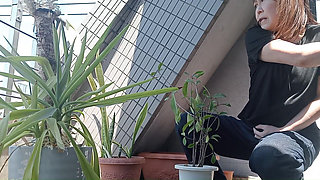 Peeing on a Potted Plant
