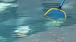 Pool Blowjob with Pedsrmeds