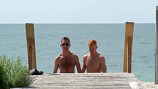 Tfls 2