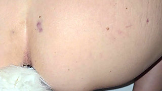 My ass is plugged with a foxtail while he fucks my pierced pussy hard