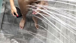 Hot babe with perfect big boobs taking shower