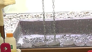 Brunette in Fishnets Rides Cock Hard and Gets Pounded