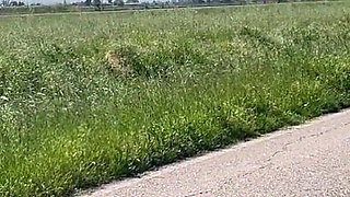 Fuck and Footjob After a Run in the Country