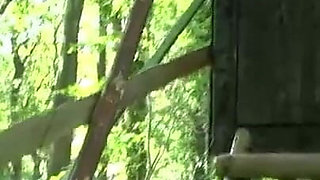 Porn Style in Germany - Scene #05