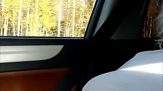 Teasing Drivers 6 - Flashing Big Boobs in Travel