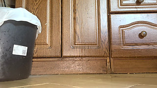 Licking Dirty Floor and Toilet, Flashing Head in It