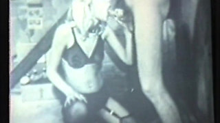 Wild Perverted Sluts