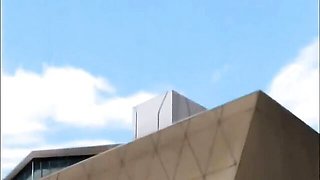 Kitten's japan trailer