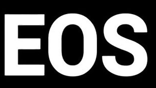 Black horny BBW amazing xxx video