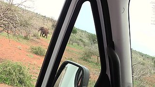 Safari with black African teen with sex