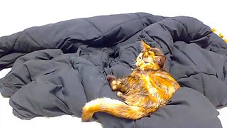 CLOSE UP OF TEENS PARADISE