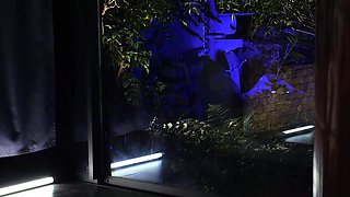 Asian cutie toys smut insertion before hardcore shag