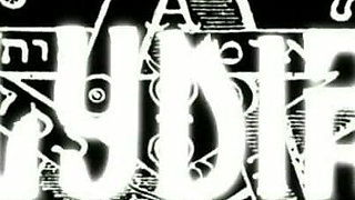 Trailer 509