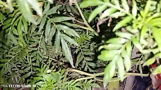 Evening Hookup with the Neighbor Next Door