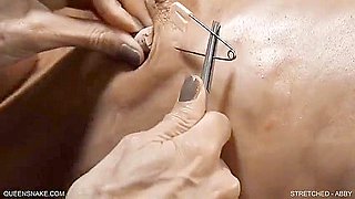 Abby - Stretched