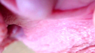 I Pull the Hood off My Clit and Touch It Closeup