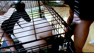 Mr Marcus: Kiara Marie Chubby Blonde Big Tits Fucked by Big Black Cock Mr Marcus in Cage Cumshot