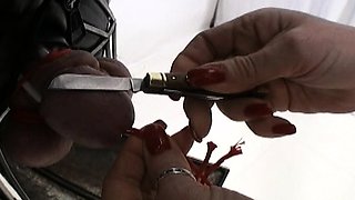 Mature brunette hookup amateur milf gives blowjob