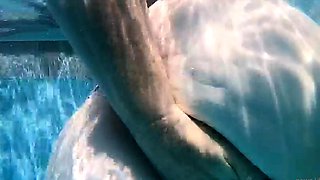 amateur lovebi flashing ass on live webcam