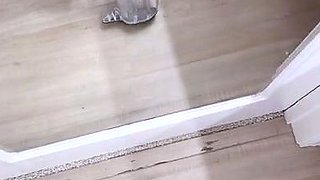 Hot cumshot for amateur fetish mature stockings slut