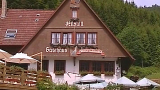 Pension Almrausch 2