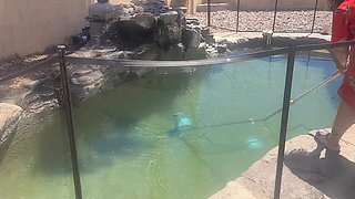BBW Cleaning Her Pool