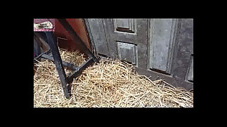 A Lesbian Slave in a Haystack 1